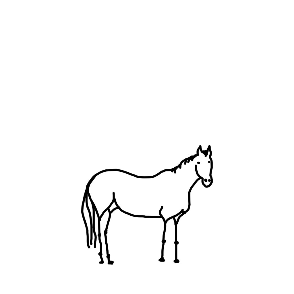 she galloped so fast she outran the concept of time. now she’s just here.