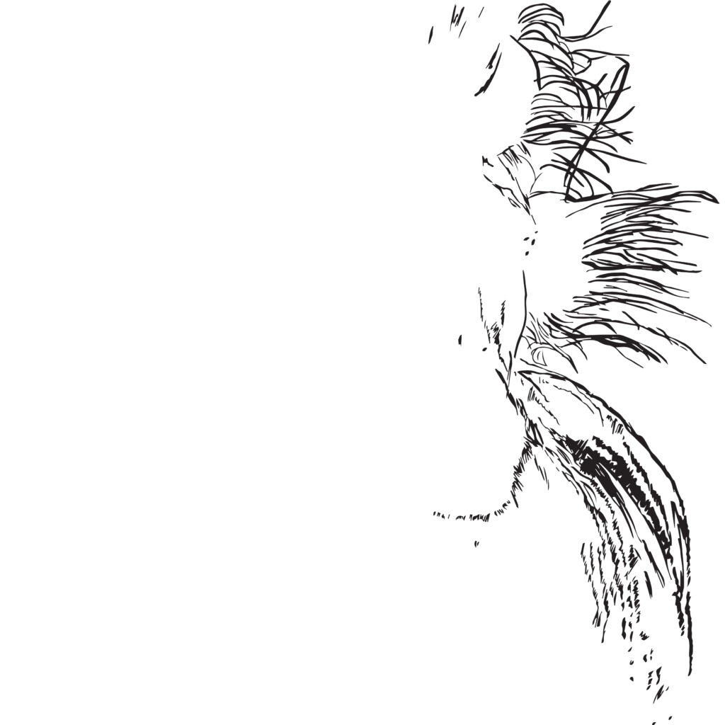 when in a dream someone said 'horse'.