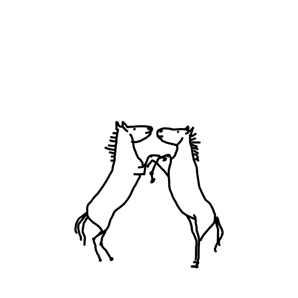 locomotion is a delicate art, especially when all four hooves have opinions.