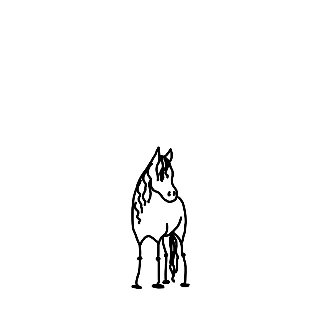 pony charm level: expert.