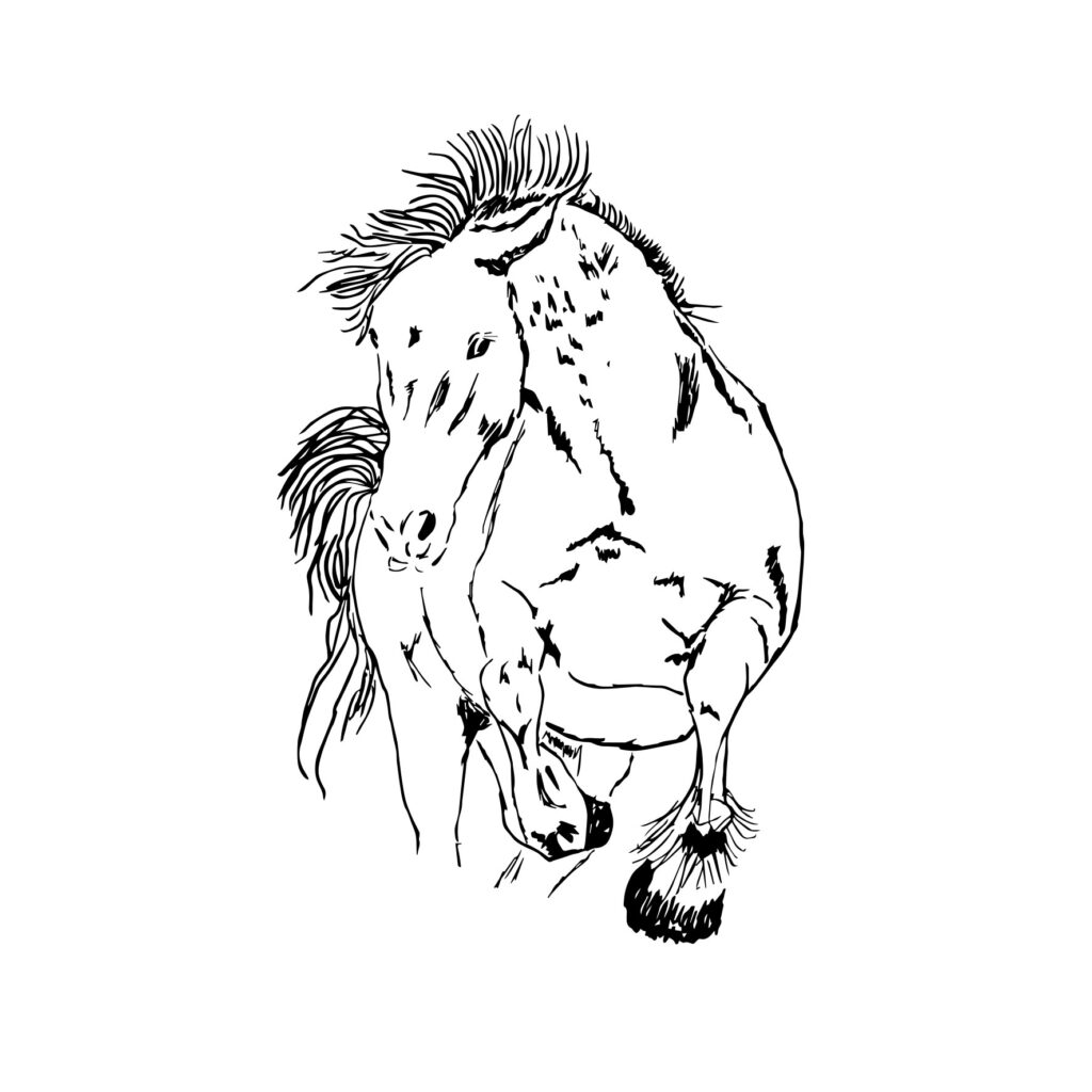 this horse believes you are a rival equation in need of simplification.