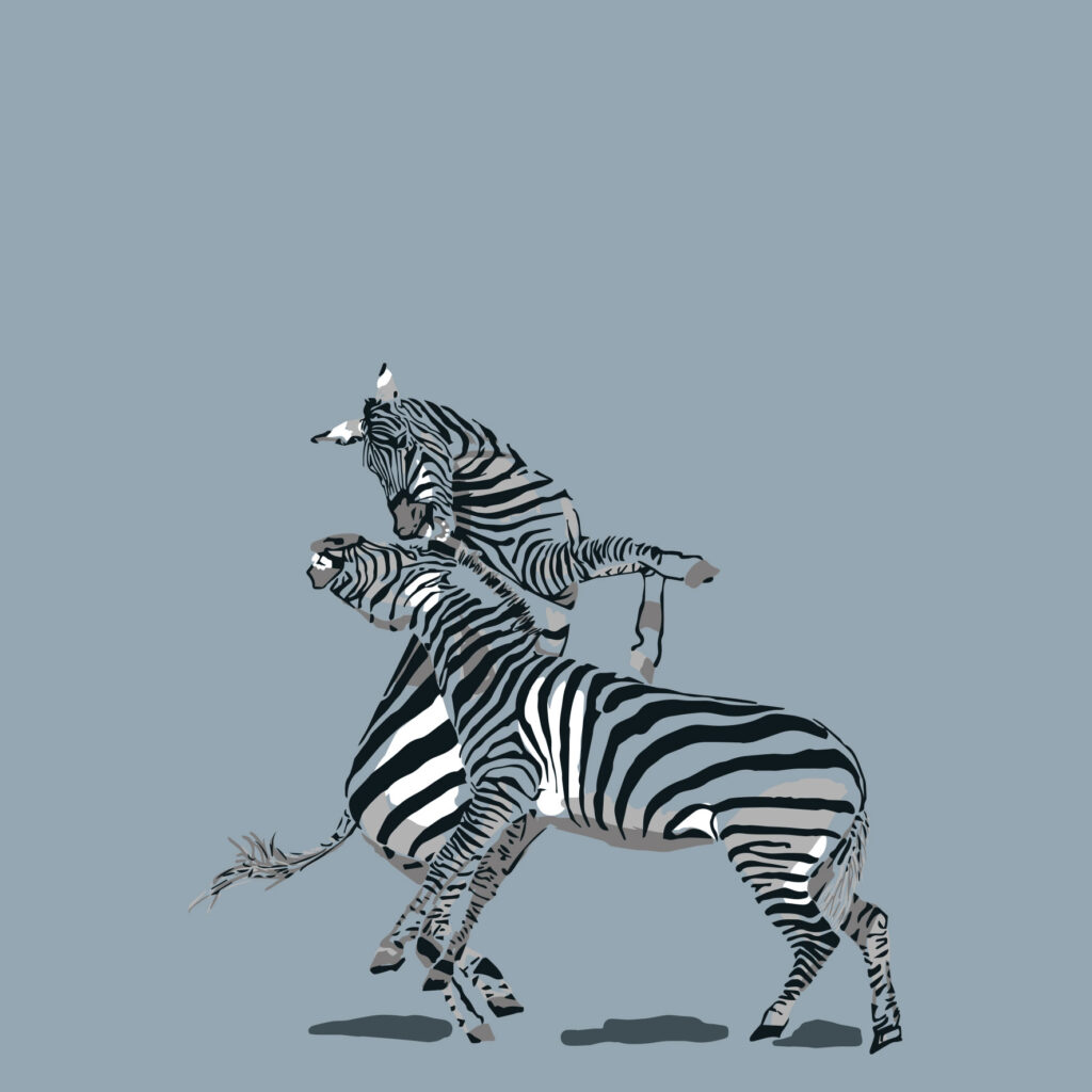 the savannah shakes when striped patterns clash.