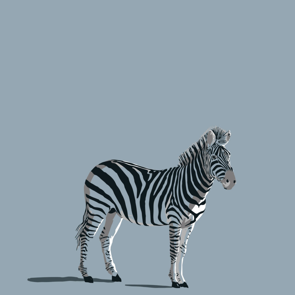 the savannah’s barcoded wanderer.