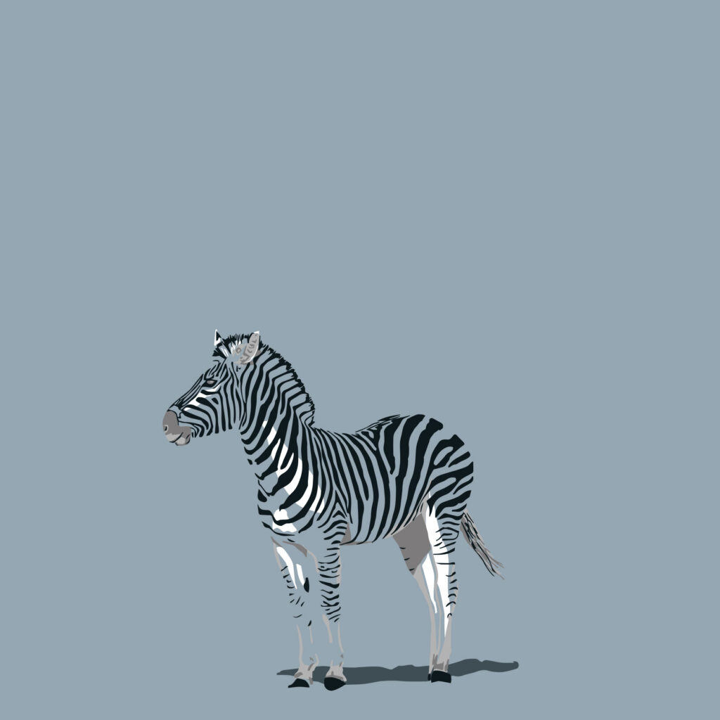 a solitary note in a striped symphony.