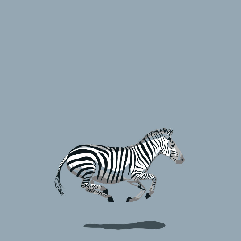 each stripe is a rebellion against uniformity.