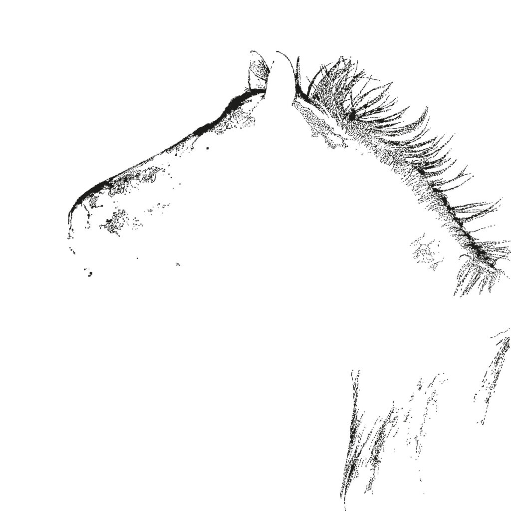 minimal surface, maximum internal weather