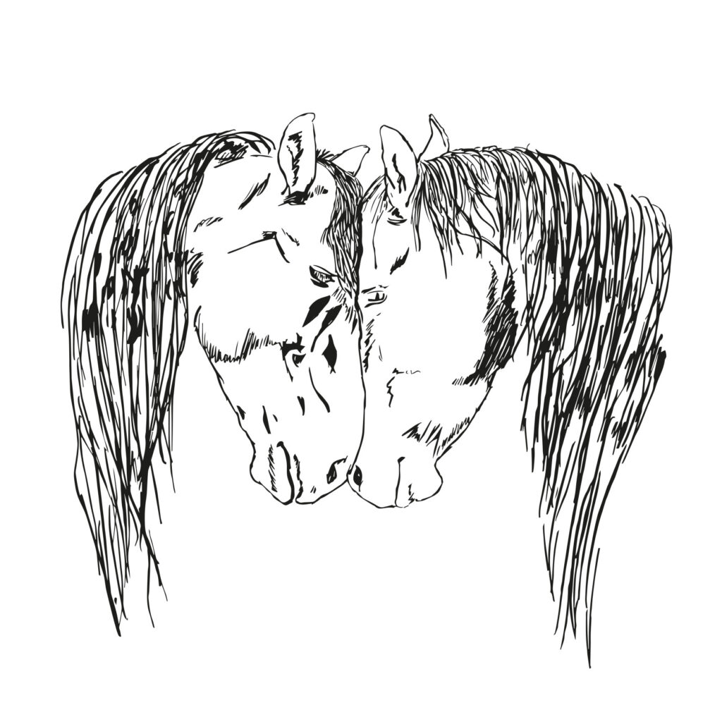 a gentle conversation of mane and soul